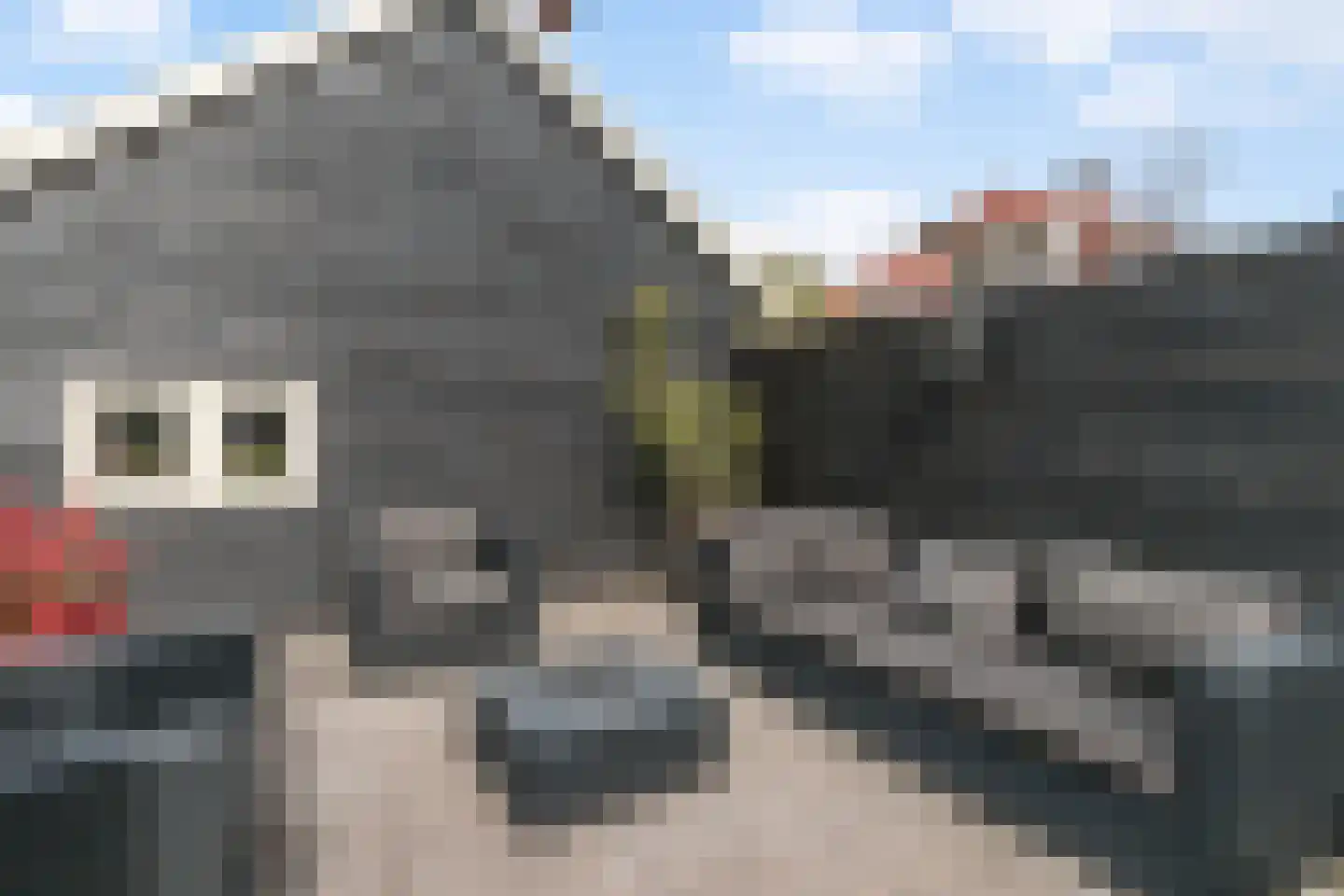 Kralingseweg 441 Rotterdam thumbnail 40