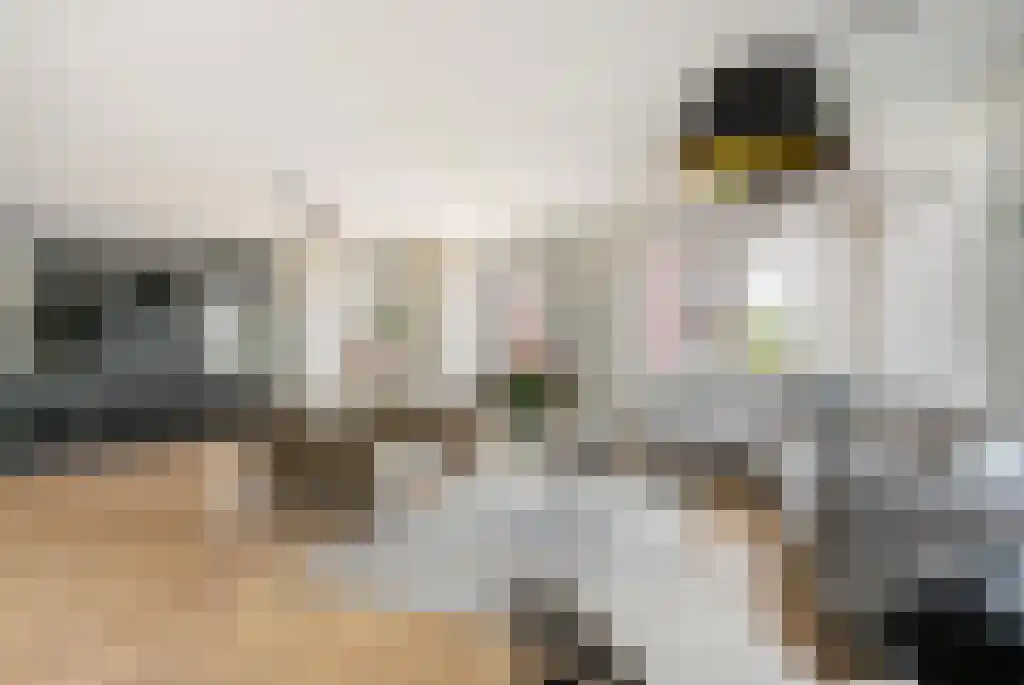 Kralingseweg 5 D Rotterdam thumbnail 8