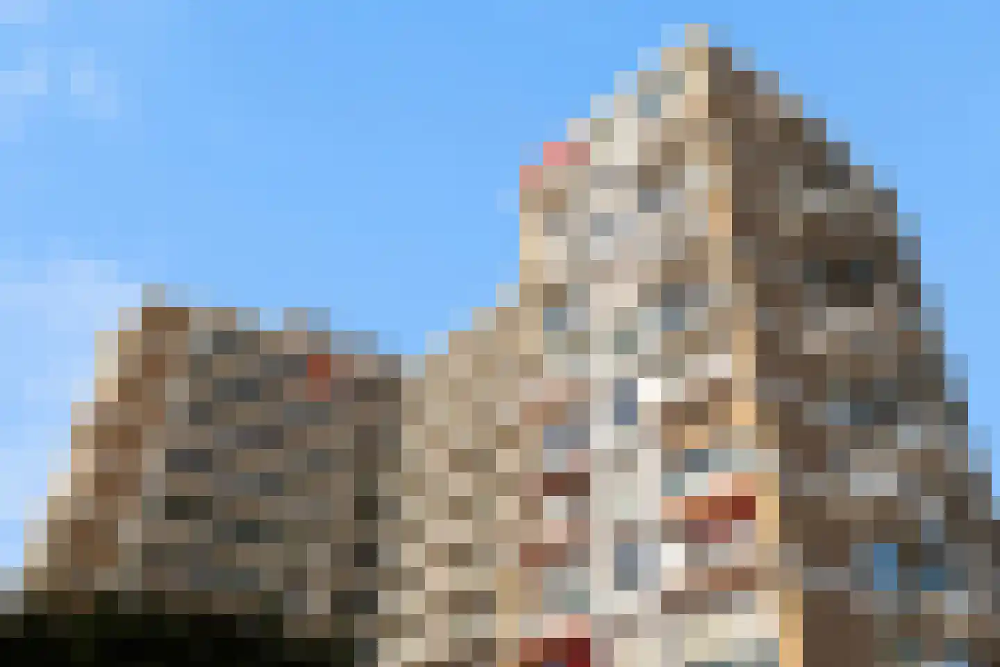 Kralingseweg 59 Rotterdam thumbnail 14