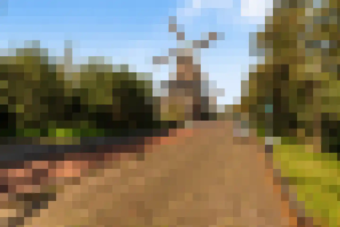 Kralingseweg 59 Rotterdam thumbnail 18