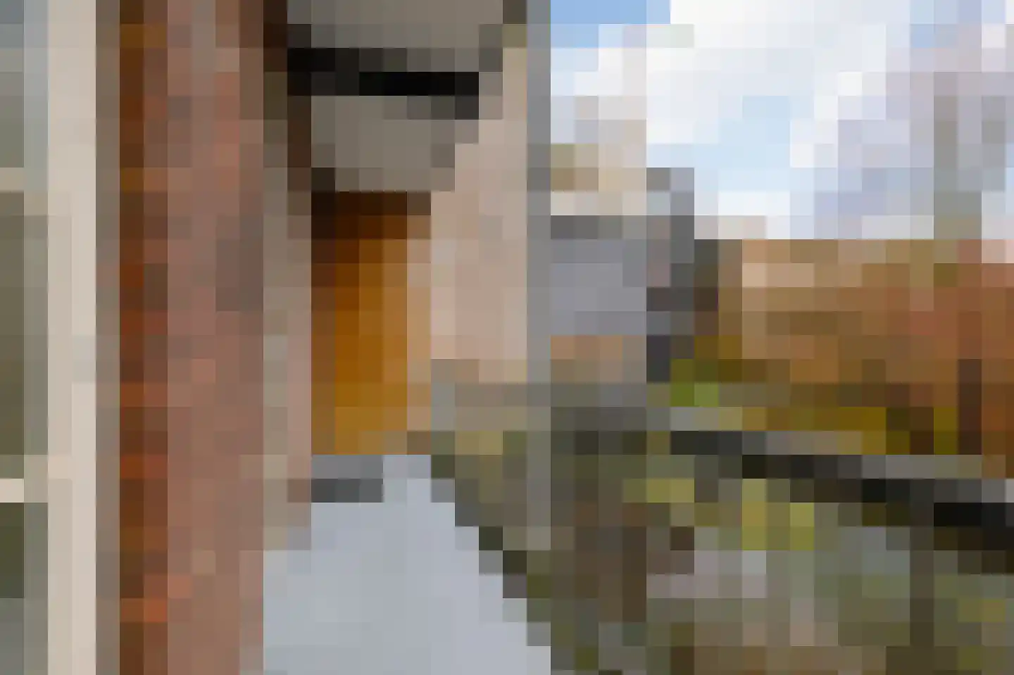 Kramatweg 92 H Amsterdam thumbnail 20