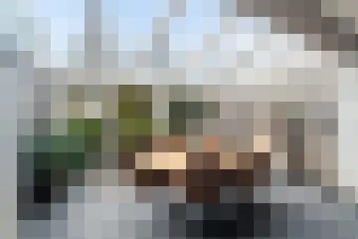 Kramerplan 29 Zoetermeer thumbnail 13