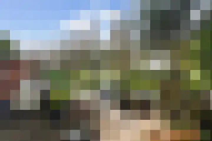 Kramerplan 29 Zoetermeer thumbnail 15