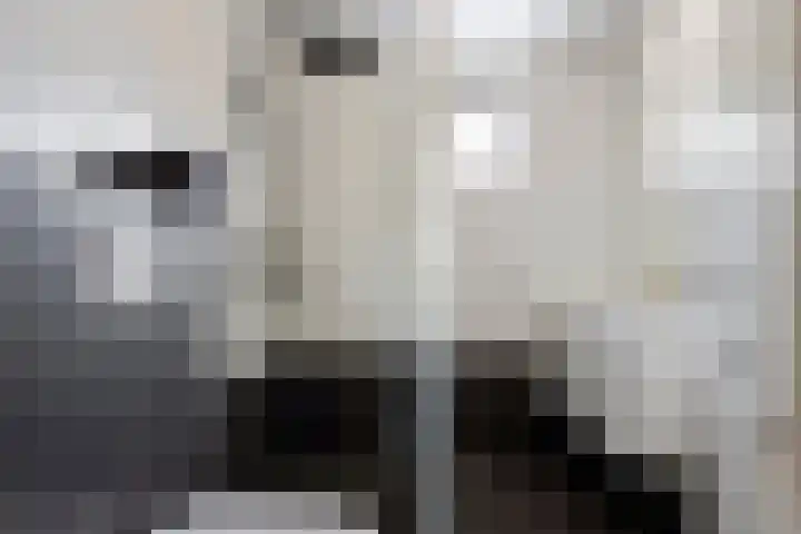 Kramerplan 29 Zoetermeer thumbnail 21