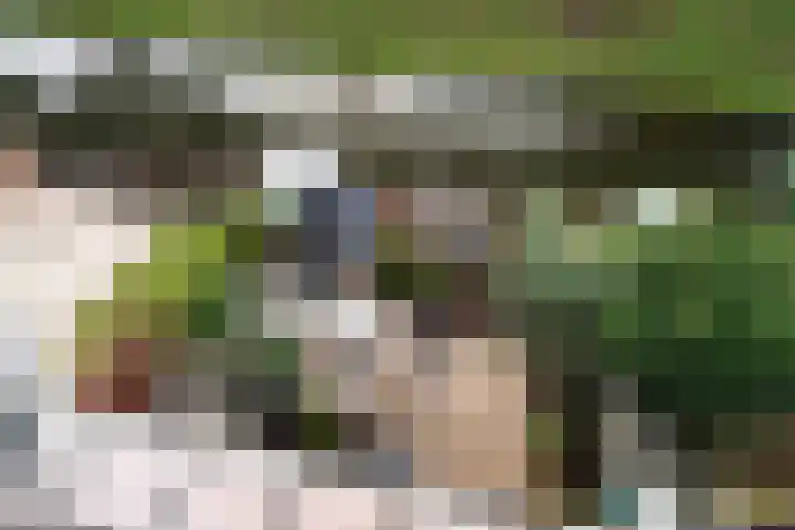 Kramerplan 29 Zoetermeer thumbnail 49
