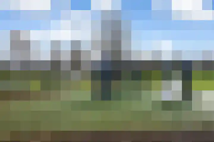 Kramerplan 29 Zoetermeer thumbnail 52