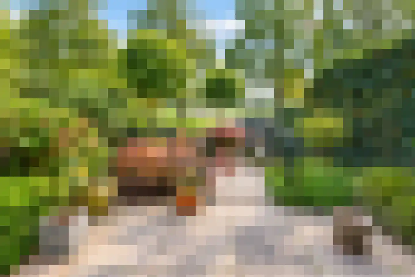 Kramerplan 41 Zoetermeer thumbnail 15
