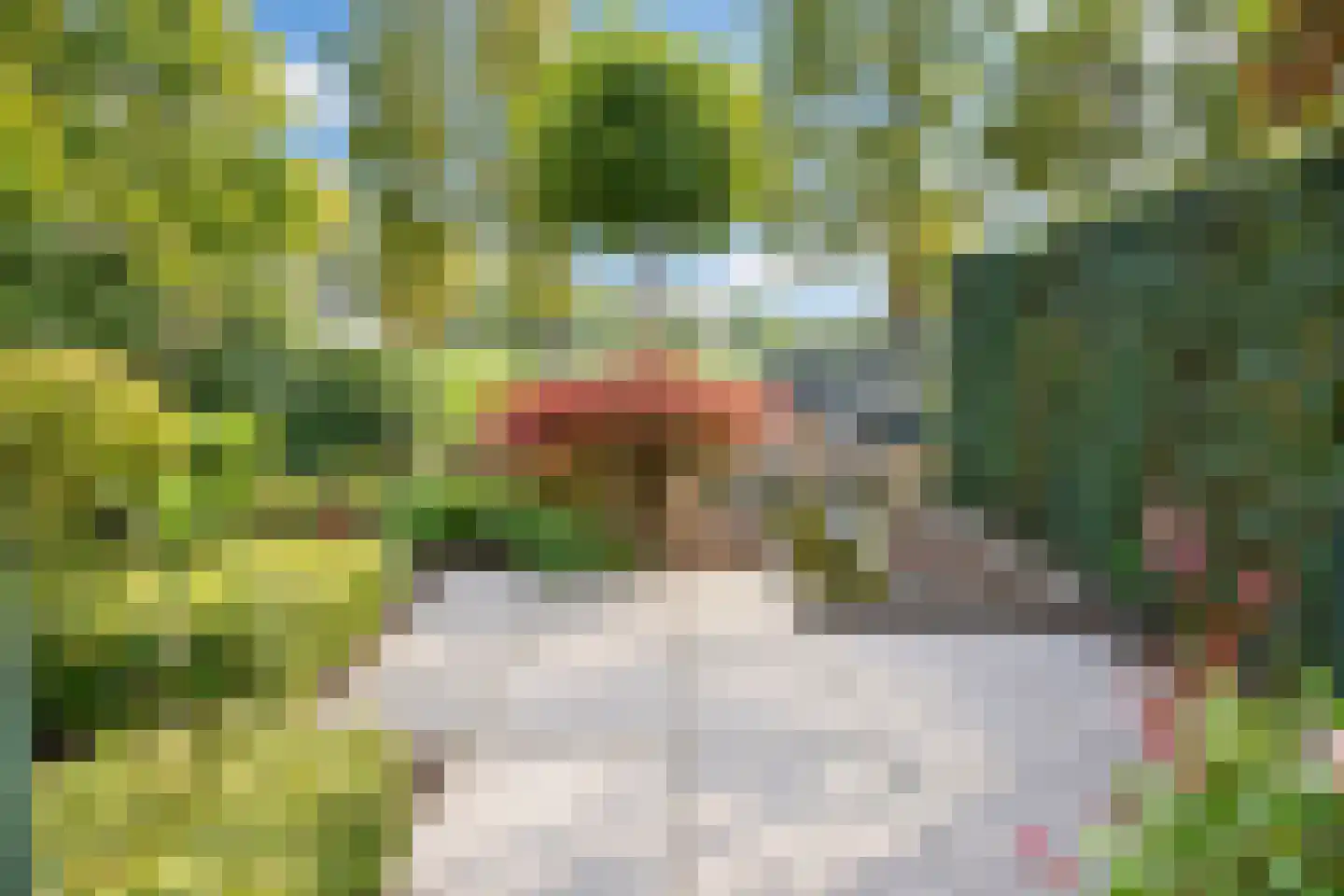 Kramerplan 41 Zoetermeer thumbnail 16