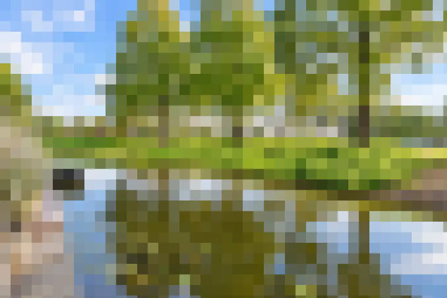 Kramerplan 41 Zoetermeer thumbnail 5