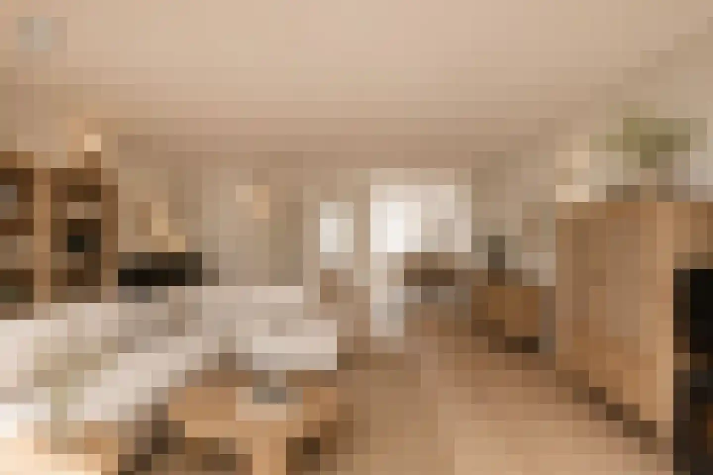 Kramerplan 69 Zoetermeer thumbnail 14