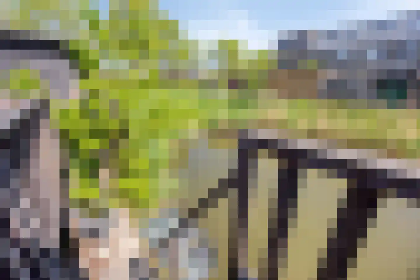 Kramerplan 69 Zoetermeer thumbnail 16