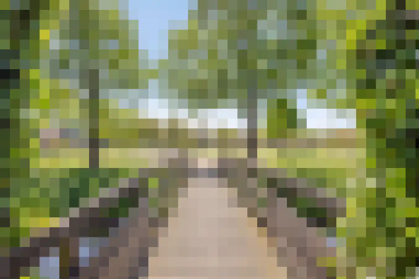 Kramerplan 69 Zoetermeer thumbnail 35