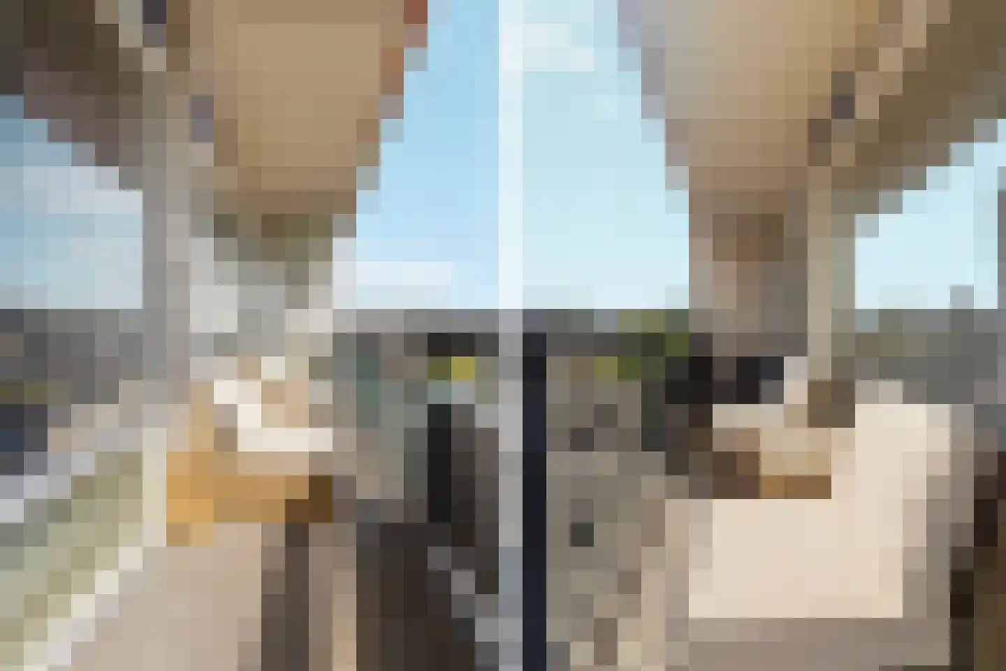 Kramersgildeplein 70 Arnhem thumbnail 32