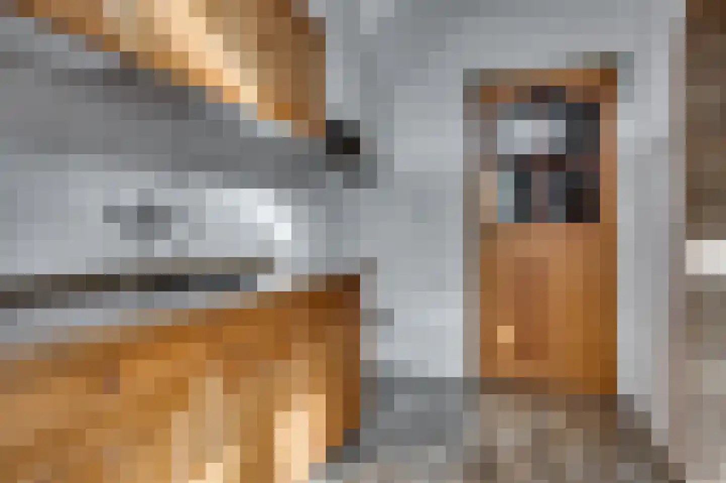 Kramersstraat 1 Venlo thumbnail 11