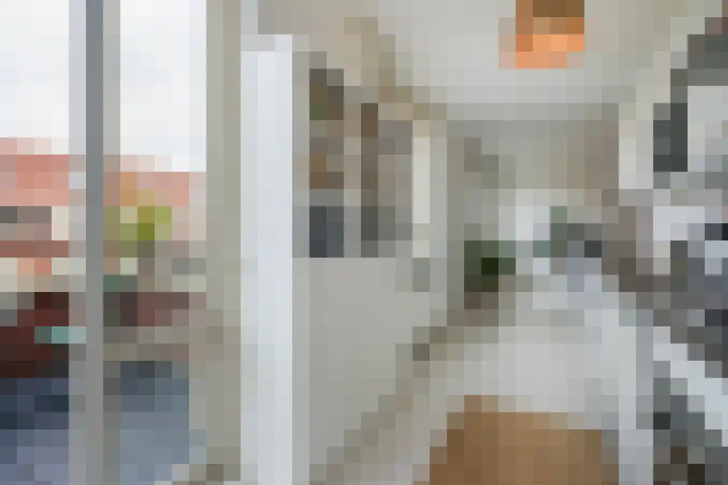 Kramersstraat 10 Wateringen thumbnail 13