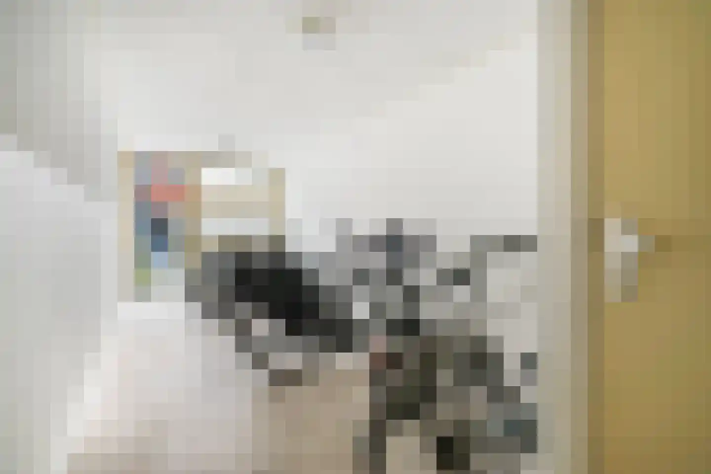 Kramersstraat 10 Wateringen thumbnail 30