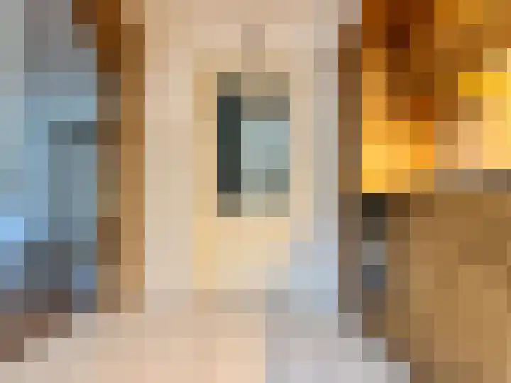 Kramersstraat 23 Venlo thumbnail 8