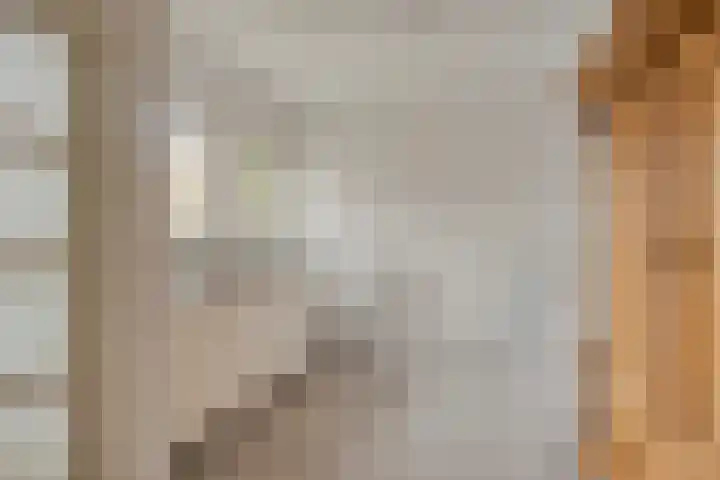 Kramerstraat 14 Baarlo thumbnail 20