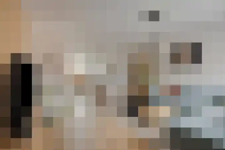Kramerstraat 14 Baarlo thumbnail 6