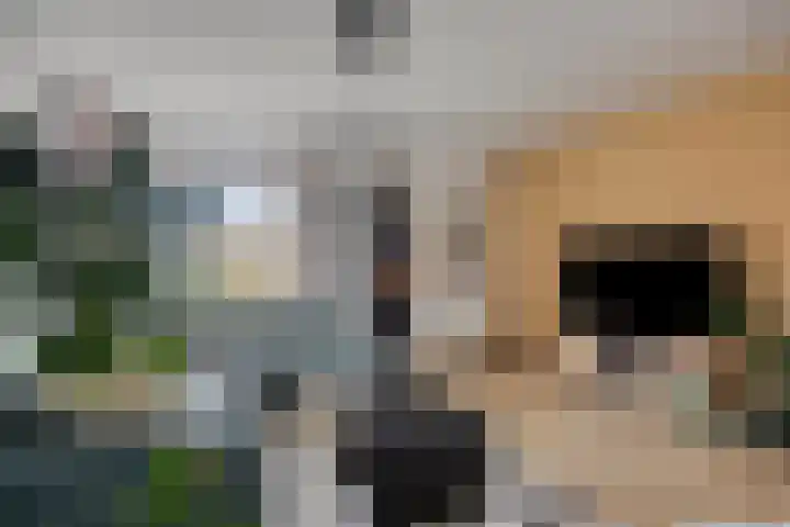 Kramerstraat 14 Baarlo thumbnail 8