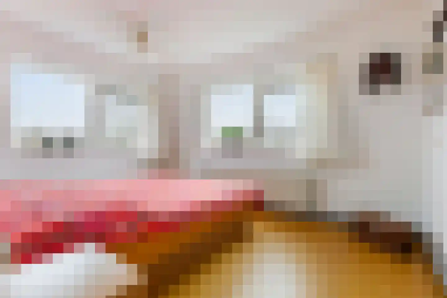 Kramerstraat 2 Groningen thumbnail 20