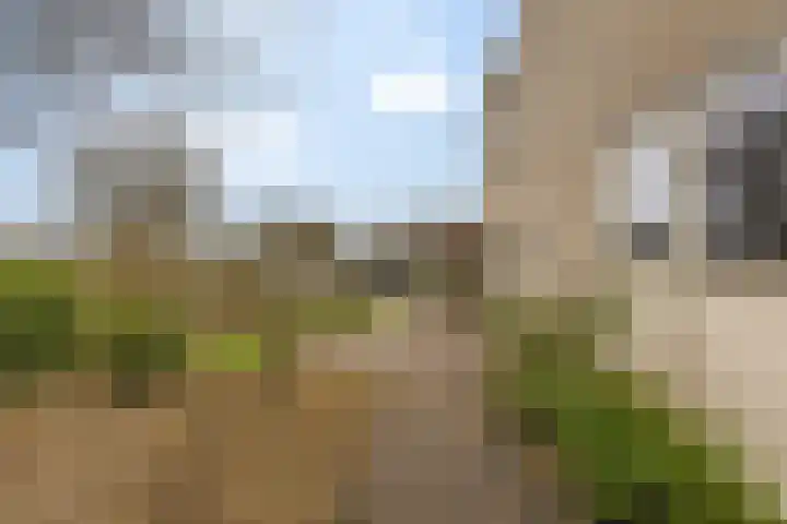 Kramerstraat 2 Groningen thumbnail 36