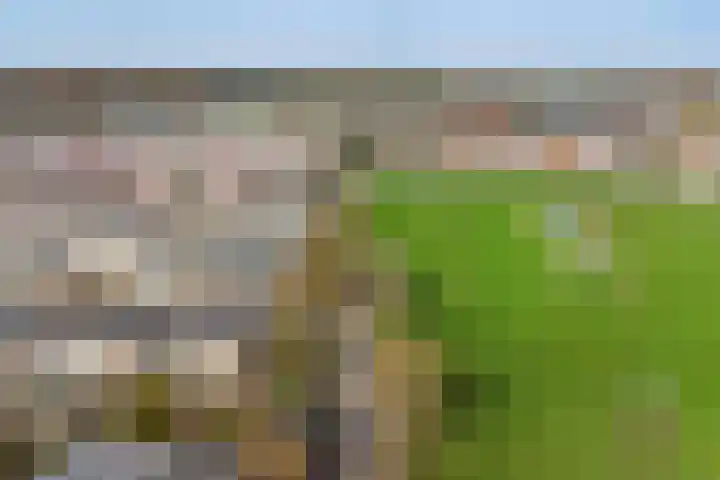 Kramerstraat 2 Groningen thumbnail 4