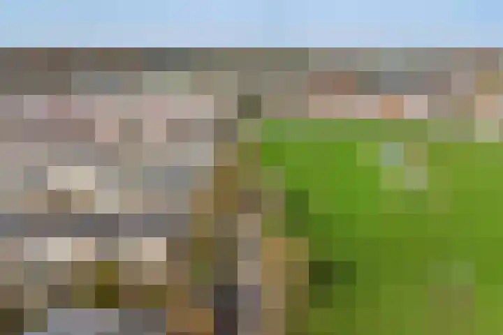 Kramerstraat 2 Groningen thumbnail 40
