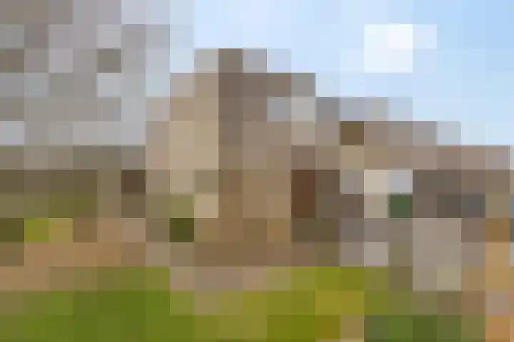 Kramerstraat 2 Groningen thumbnail 41