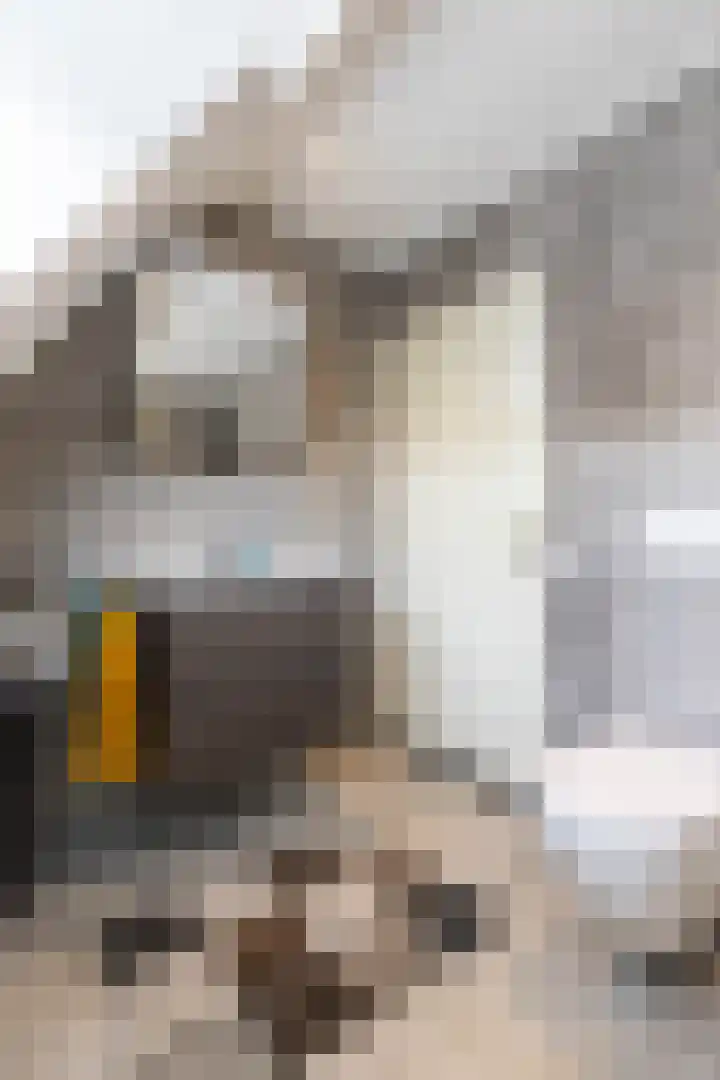 Kramerstraat 37 Groningen thumbnail 28