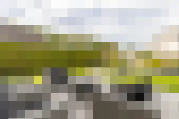 Kramerstraat 37 Groningen thumbnail 39