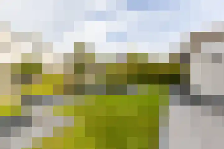 Kramerstraat 37 Groningen thumbnail 40