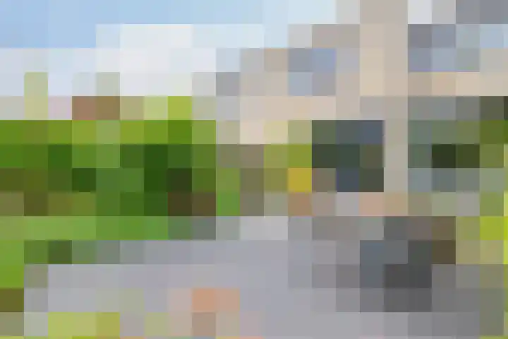 Kramerstraat 4 Groningen thumbnail 20