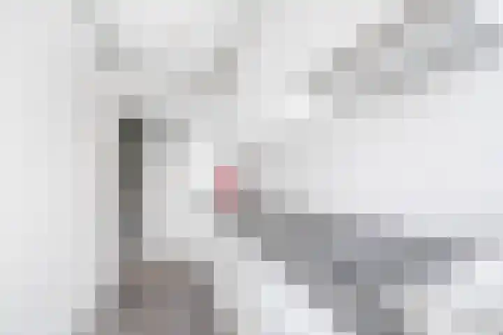 Kramerstraat 4 Groningen thumbnail 38