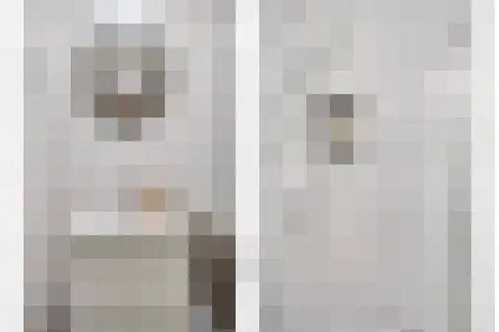 Kramerstraat 7 Baarlo thumbnail 20