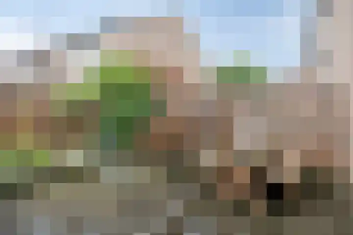 Kramerstraat 7 Baarlo thumbnail 23