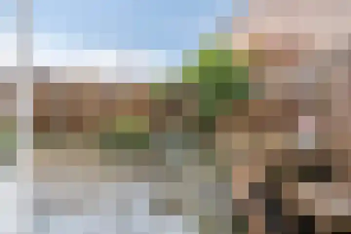 Kramerstraat 7 Baarlo thumbnail 4