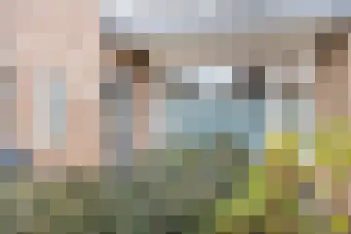 Kramerstraat 7 Baarlo thumbnail 5