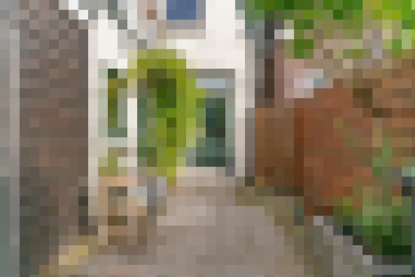 Kramerstraat 8 C Zaandam thumbnail 25