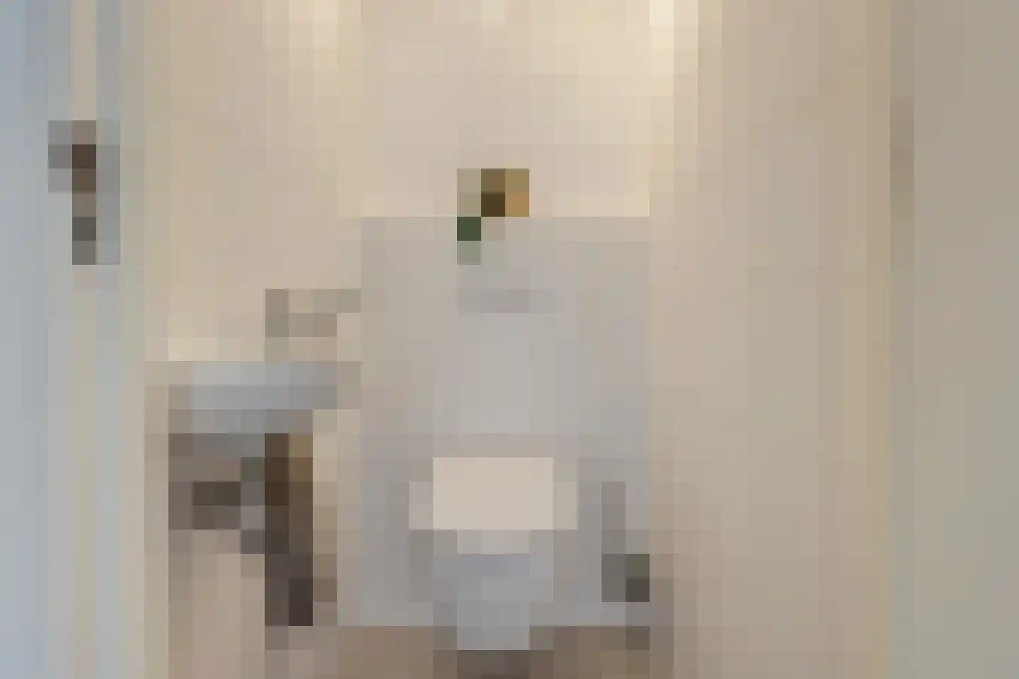 Kramersweg 8 Gouda thumbnail 11