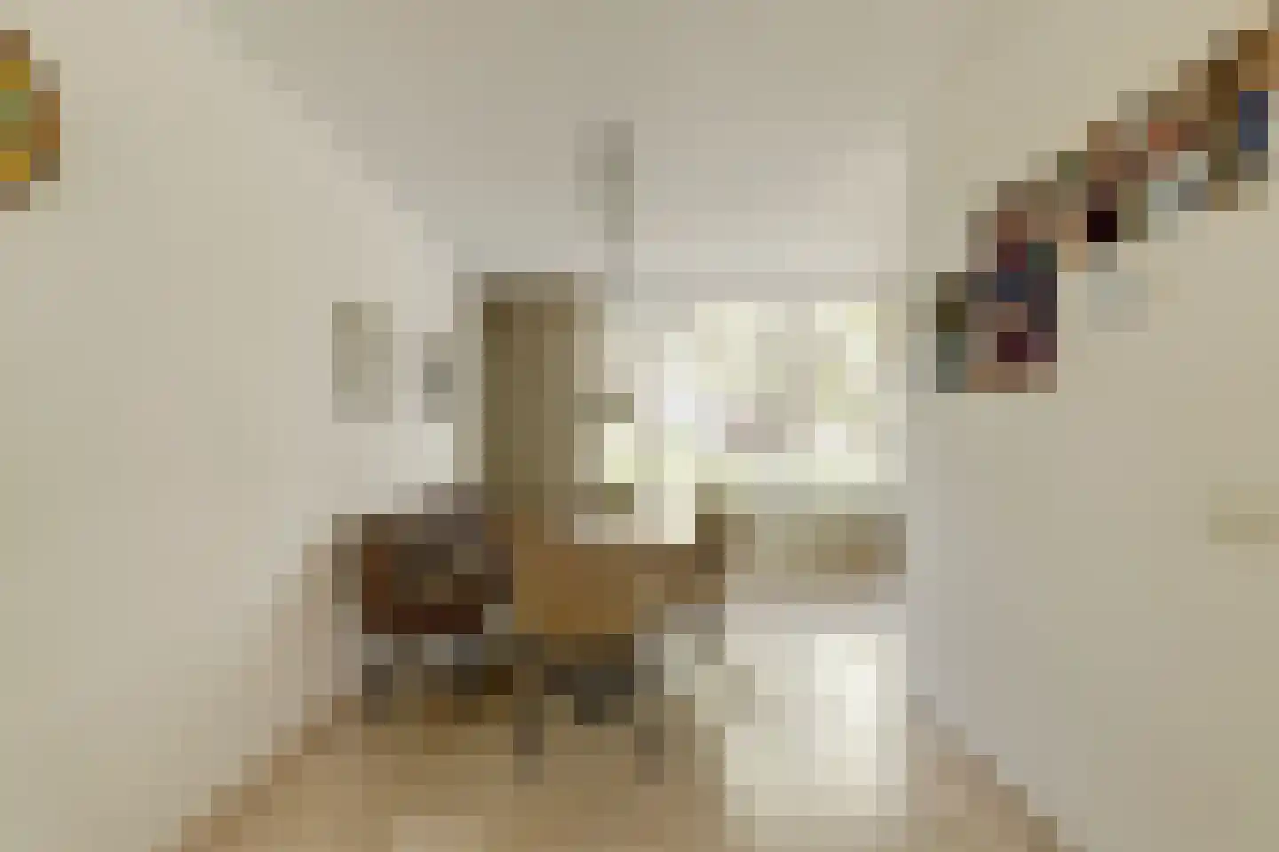 Kramersweg 8 Gouda thumbnail 15