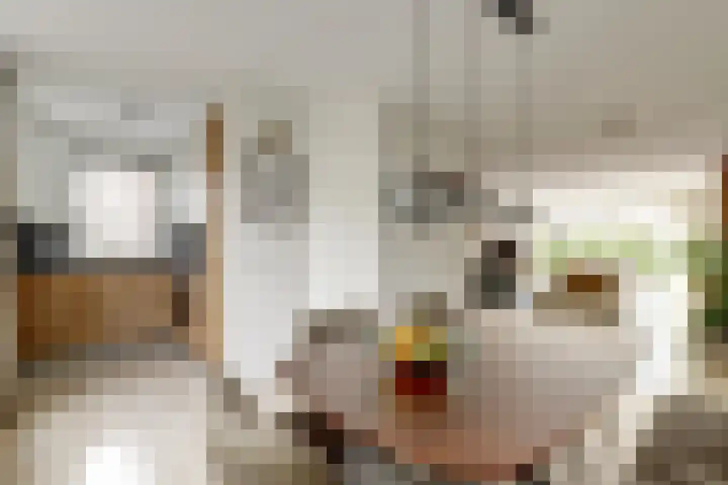 Kramersweg 8 Gouda thumbnail 16
