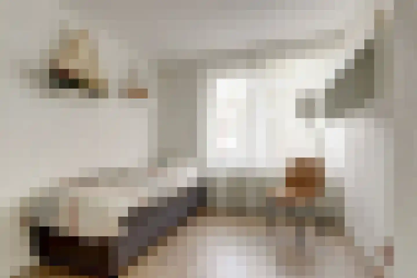 Kramersweg 8 Gouda thumbnail 22