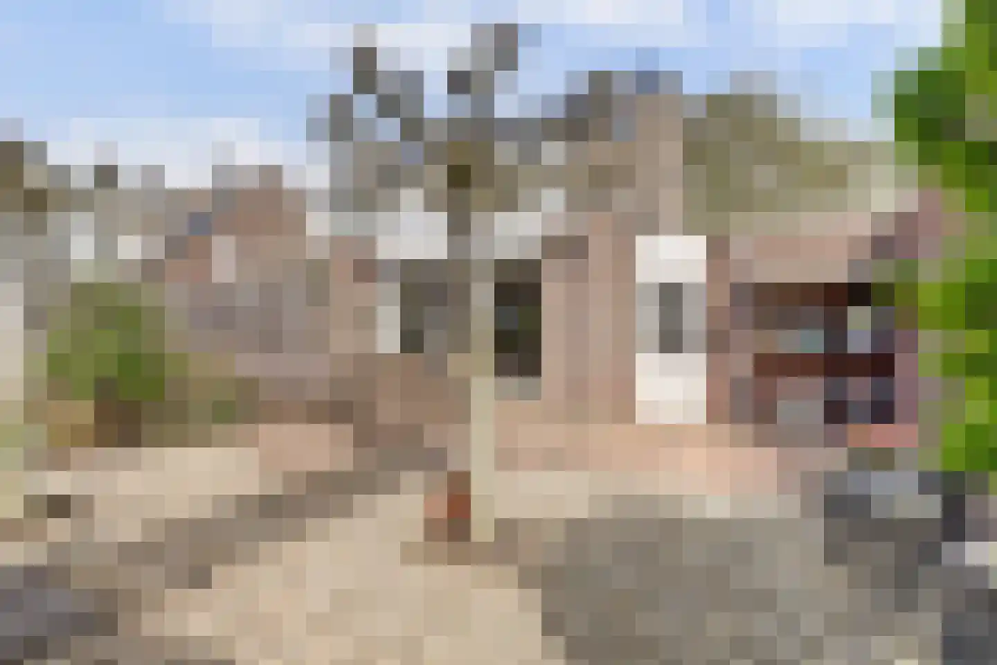 Kramersweg 8 Gouda thumbnail 35