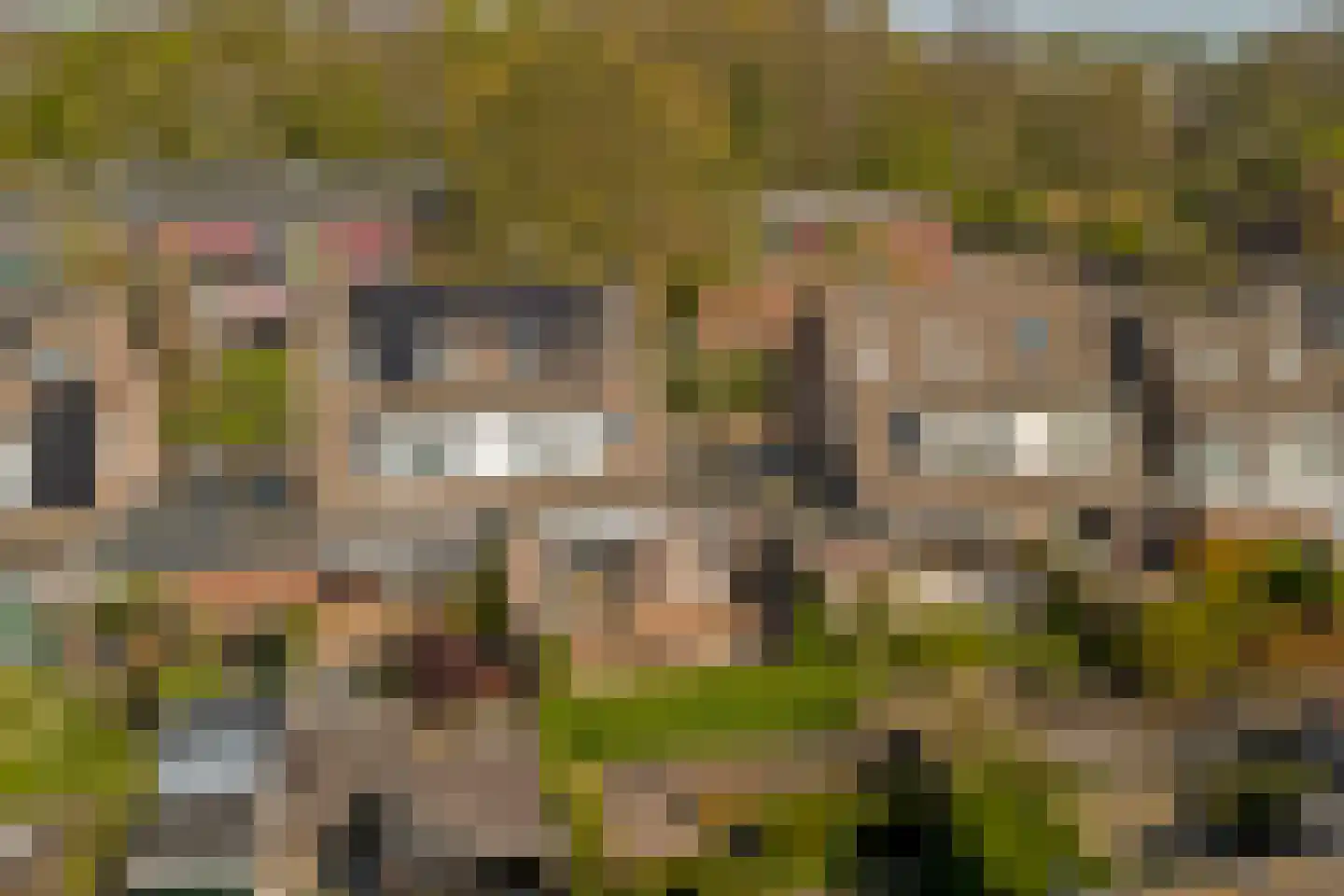 Kramersweg 8 Gouda thumbnail 36