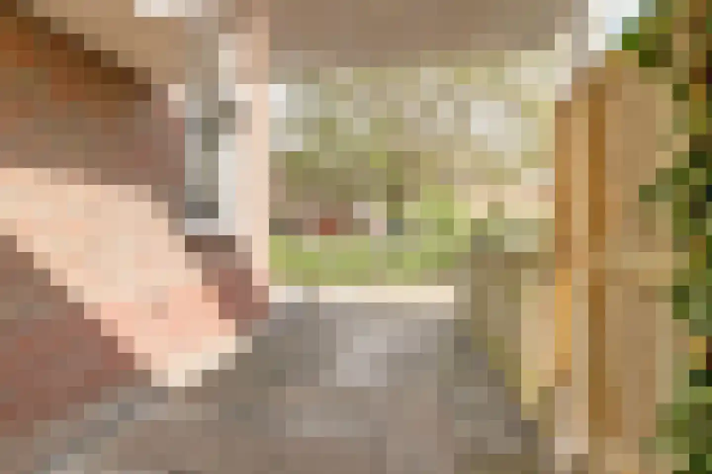 Kramersweg 8 Gouda thumbnail 8
