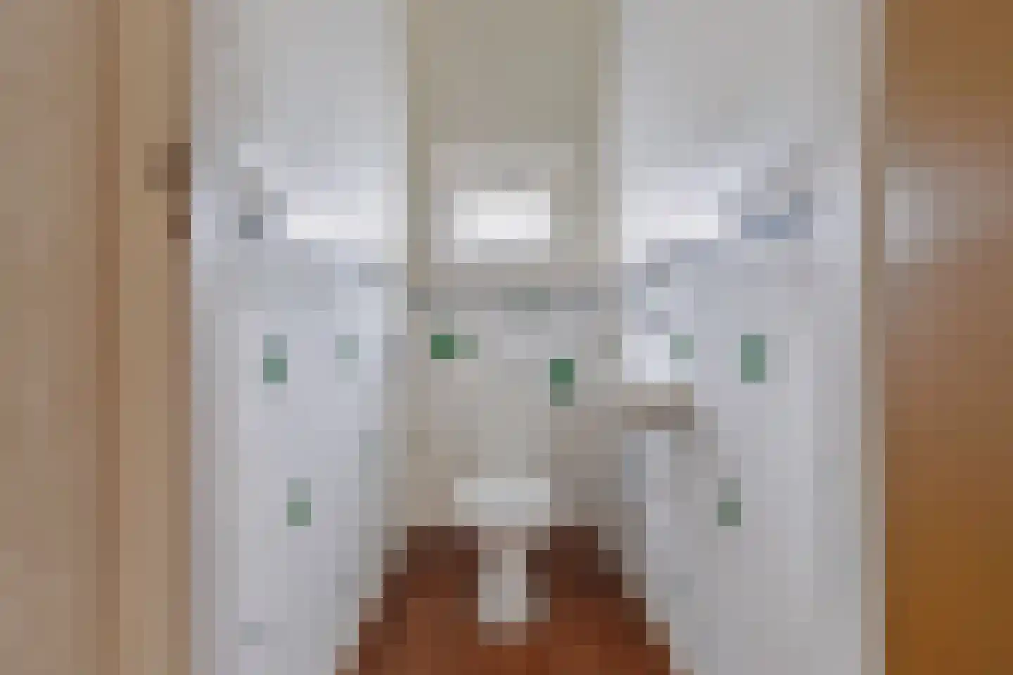 Kramersweide 5 Terborg thumbnail 21