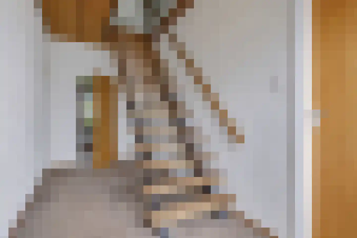 Kramersweide 5 Terborg thumbnail 22