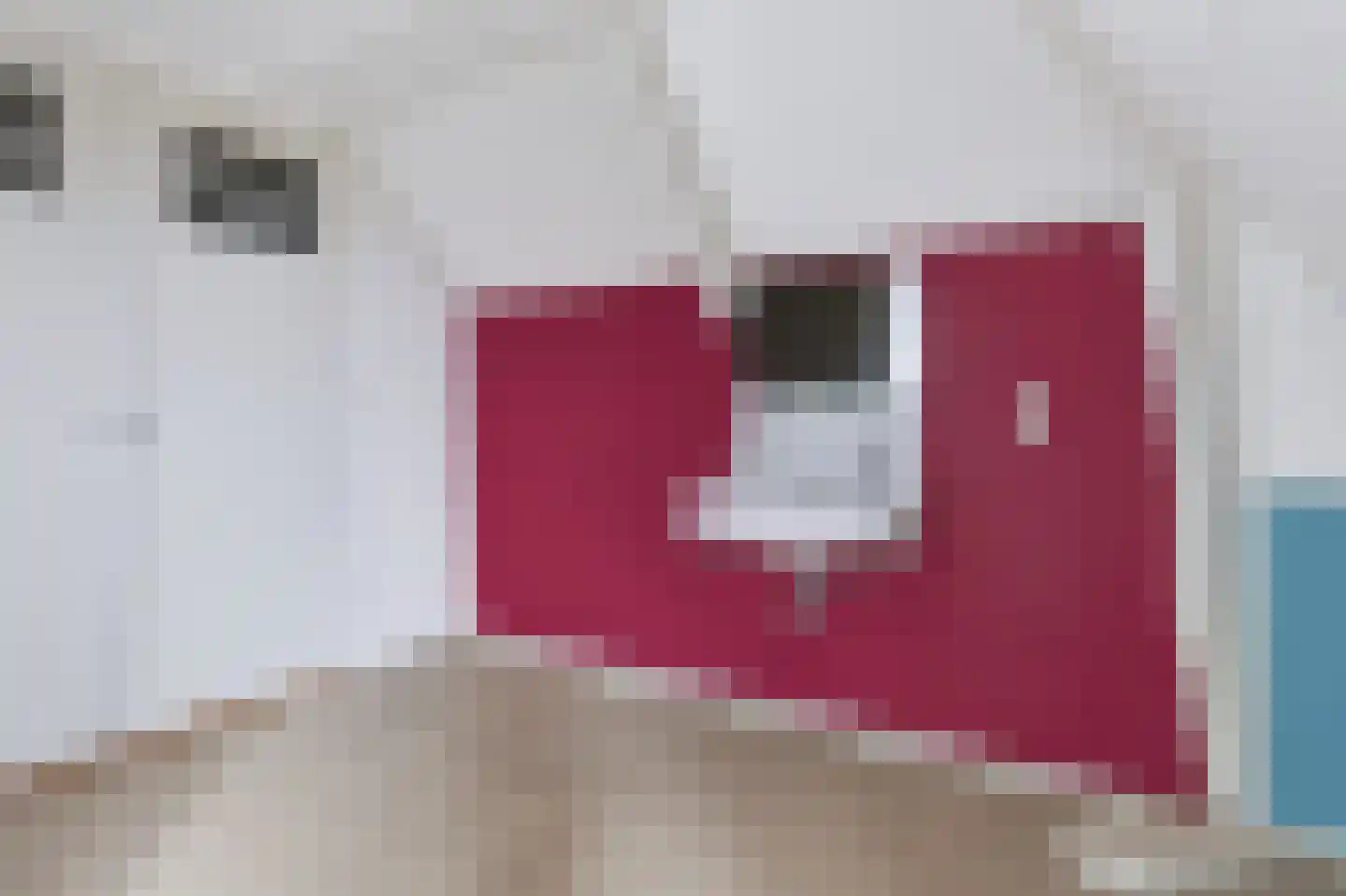 Kramersweide 5 Terborg thumbnail 24