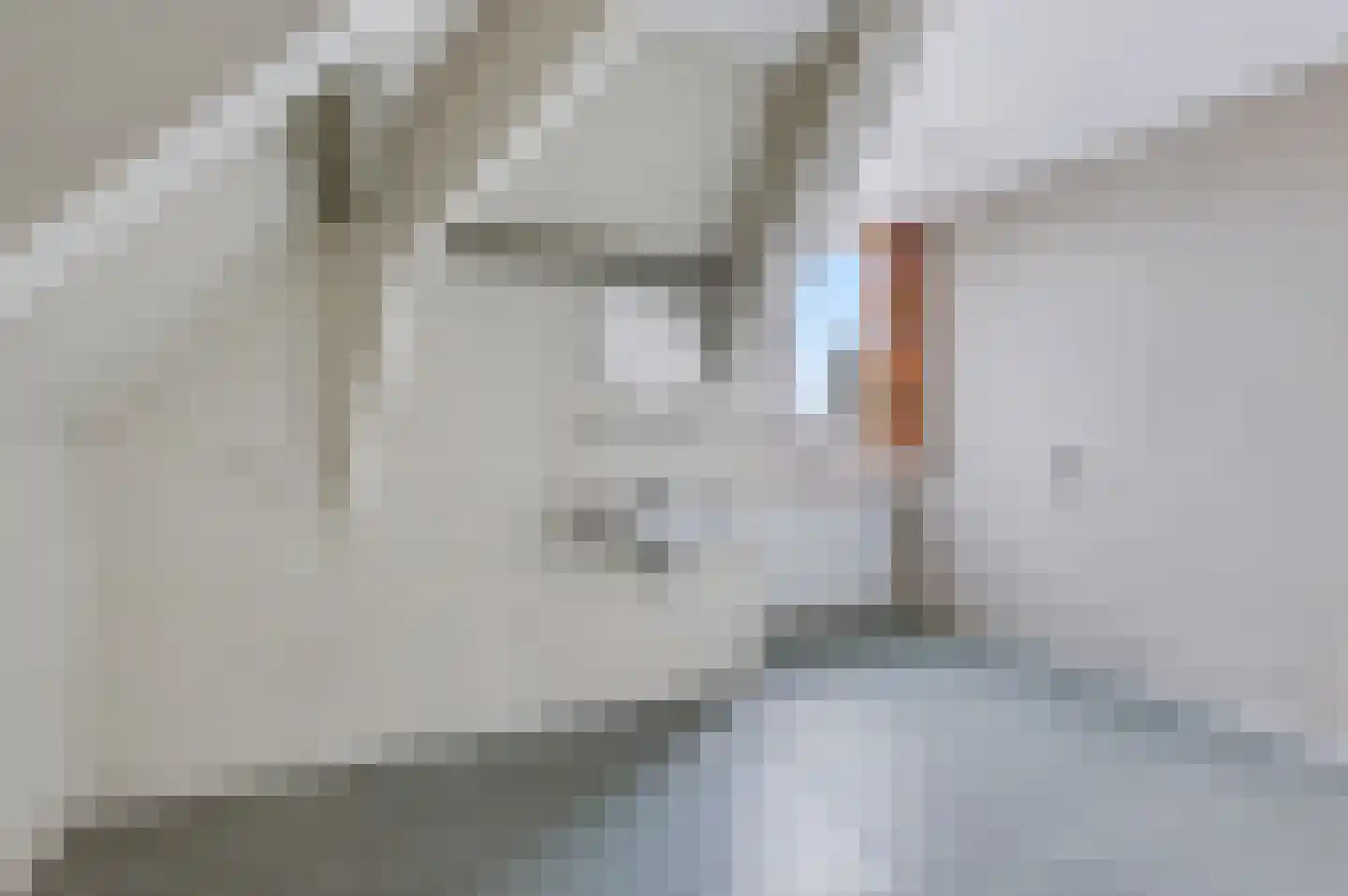 Kramersweide 5 Terborg thumbnail 27